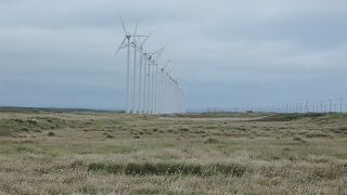 整列された風力発電機