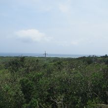 中森からの景色