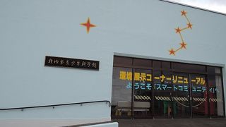タロ、ジロの展示