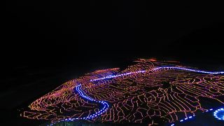 綺麗！おすすめ