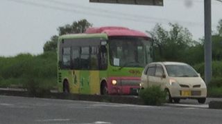 黄緑とピンクのバス