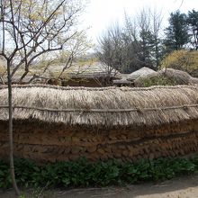 民俗村には朝鮮王朝時代の古民家や両班の建物が展示されている。
