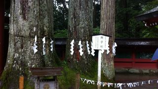 御神木が集まるパワースポット