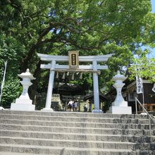 神社の鳥居