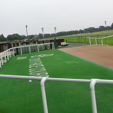 ウィナーズサークル