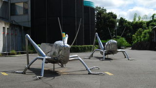 たくさんの昆虫の生態を観察することができます