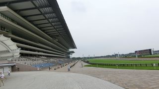 日本を代表する競馬場
