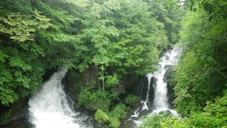 緑の中を流れ落ちる滝