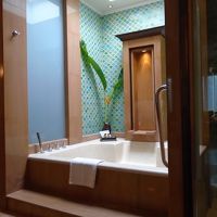 天窓もある大きなバスタブで優雅に入浴です 