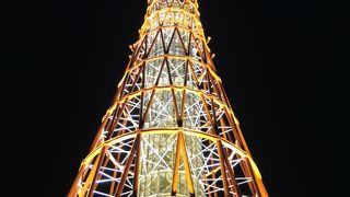 神戸の夜景に映えます