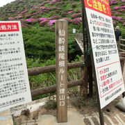 流出した溶岩によってできた峡谷『仙酔峡』