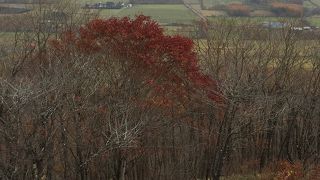 丘の上の展望台
