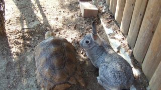 赤穂海浜公園の中の遊園地＆ミニ動物園