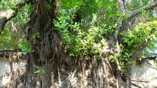 アンコールワットのような