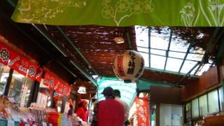 池を眺めながら。