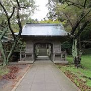 イカの大群が見られなければ、普通の神社