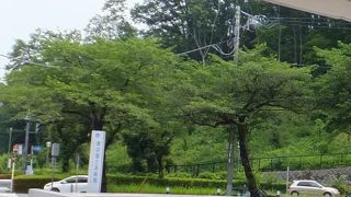 初めて行った、東京富士美術館