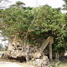 階段まで付いてます。