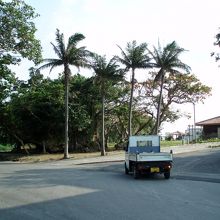 車とおの大きさを比較して下さい