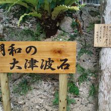 説明案内板も有り！