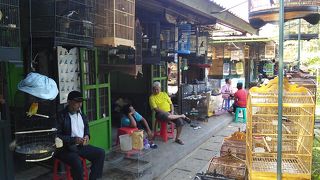 まるでミニ動物園