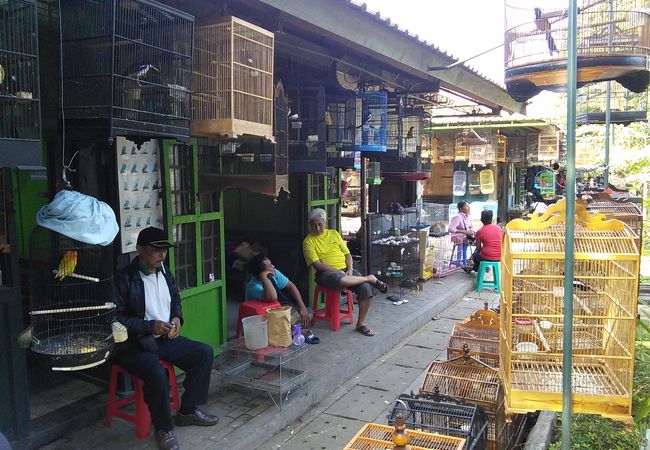 まるでミニ動物園