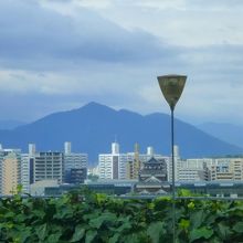 どのレストランも眺望が良い傾向にあります