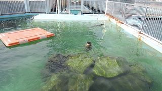 あくまでも保護施設