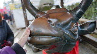 牛がいっぱい！