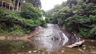 高低差は少なめですがマイナスイオンたっぷり