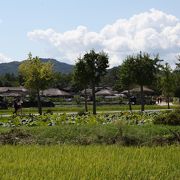 昔ながらの民家が今に息づく安東河回村