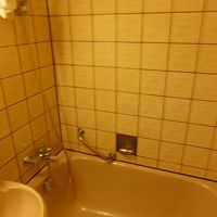 特にリクエストはしてないもののバスタブ付きシャワーでした♪