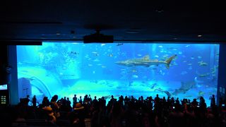 やっぱりすごいね。