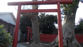 地元の神社ですね