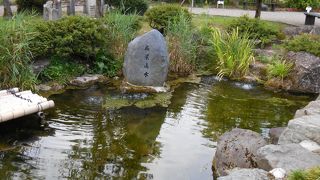 イトヨが多数見られる湧水