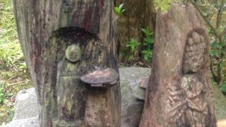 広いです。いろいろかっこいい。