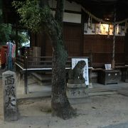 鼻川神社の境内