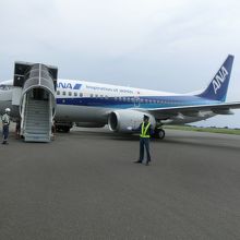 搭乗機〜ターミナルビル間は徒歩移動で。