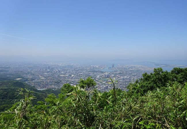 クスノキ原生林と福岡市街の展望　立花山