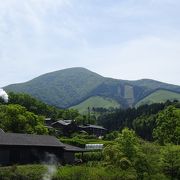 ミヤマキリシマ咲く小国富士　涌蓋山