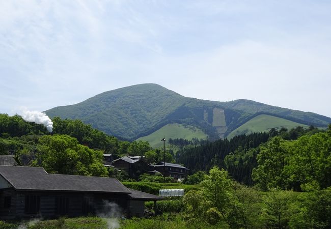 ミヤマキリシマ咲く小国富士　涌蓋山