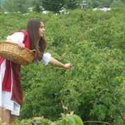 カザンラク最大のお祭り