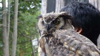 子供たちのために頑張ってほしい！