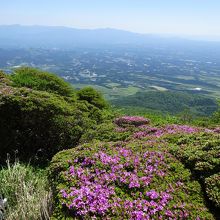 大船山の肩からミヤマキリシマと久住高原