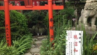 けっこう立派です