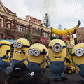 かわいいミニオンズに会えます