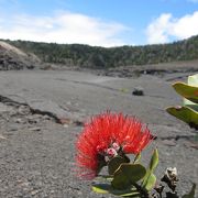 火山の底を歩く！