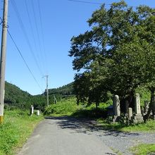 敦賀に向かう坂道に