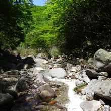 赤川口から硫黄で白くなった渓流をつめていきます。