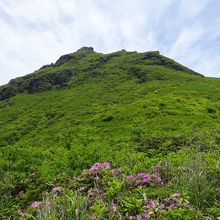 どっかと構える久住山への急坂が始まる。